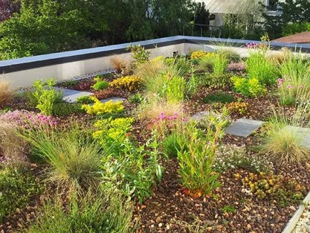 Pflege von Dachterrassen und Dachbegrünungen