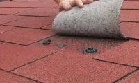 Vorschaubild des Artikels : Der Schindel 
