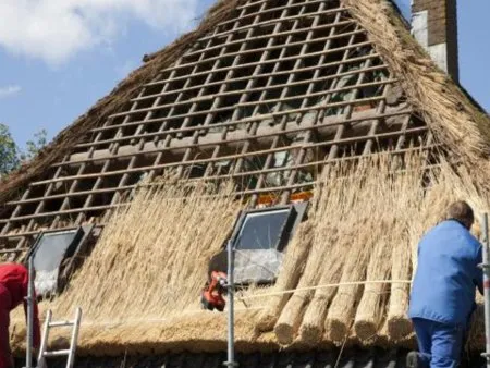 Die Reetdächer