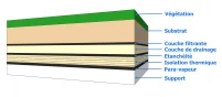 Les composants d’une toiture-terrasse végétalisée
