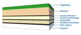 Les composants d’une toiture-terrasse végétalisée