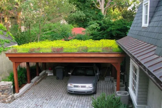 Dachbegrünung auf einem Carport 